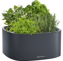 Bylinková zahrádka v květináči Lechuza s různými bylinkami, jako je šalvěj, petržel, bazalka a rozmarýn.