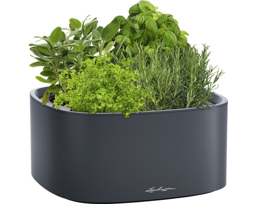 Bylinková zahrádka v květináči Lechuza s různými bylinkami, jako je šalvěj, petržel, bazalka a rozmarýn.