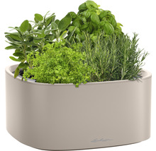 Květináč na bylinky s bazalkou, rozmarýnem, petrželkou a šalvějí