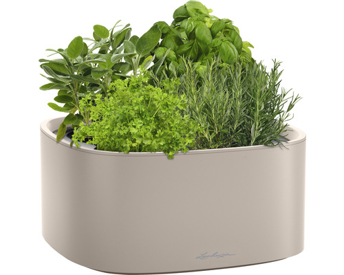 Květináč na bylinky s bazalkou, rozmarýnem, petrželkou a šalvějí