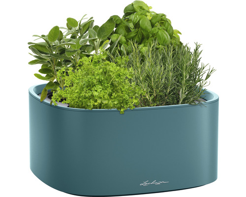 Květináč s bylinkami jako šalvěj, petržel, bazalka a rozmarýn