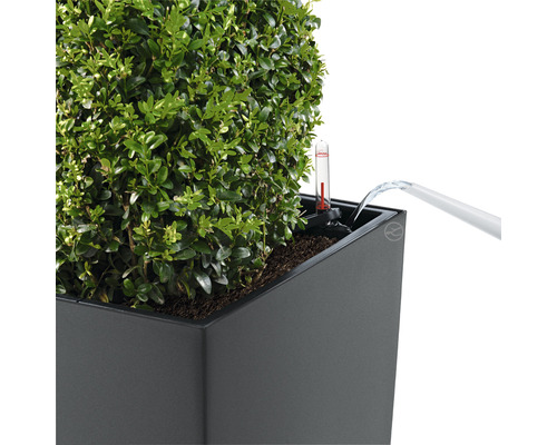 Zavlažování osázeného květináče s ukazatelem hladiny vody.