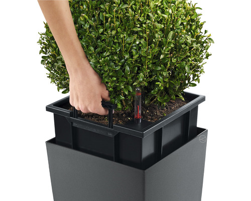 Osoba zalévá rostlinu v květináči se zavlažovacím systémem