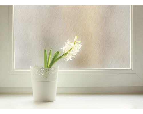 Dekorační fólie s rostlinou v květináči na okenním parapetu