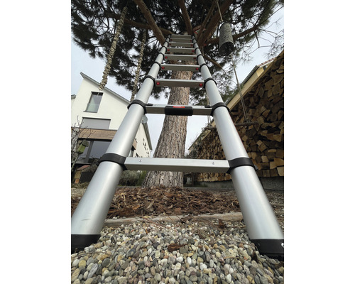 Rozložený teleskopický žebřík opřený o strom na zahradě