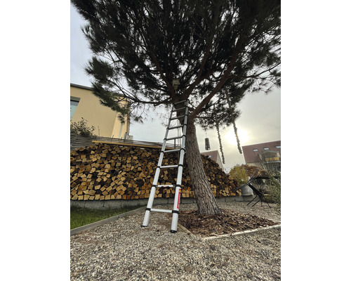 Teleskopický žebřík opřený o strom na zahradě, v pozadí hromada dřeva