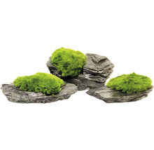 Dekorativní kameny s mechem pro akvária