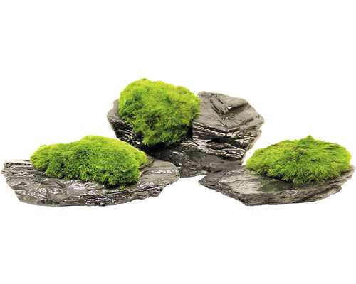 Dekorativní kameny s mechem pro akvária