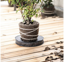 Rostlina v plstěném květináči s podložkou na dřevěné terase