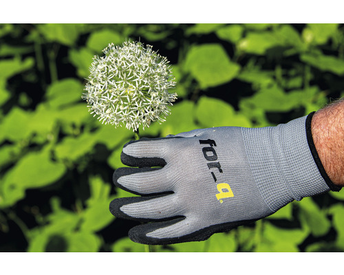 Zahradní rukavice s květem okrasného česneku