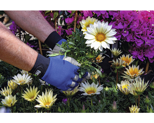 Práce na zahradě se zahradními rukavicemi mezi gazánií a bugenvilií