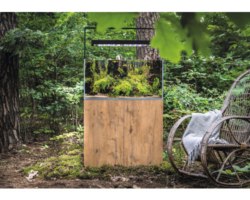 Akvárium s podstavcem a rostlinami v přírodním prostředí