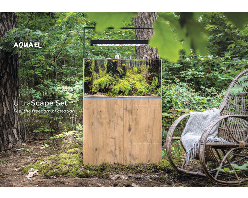 Akvarijní set s rostlinami a dřevěnou podlahou v lese