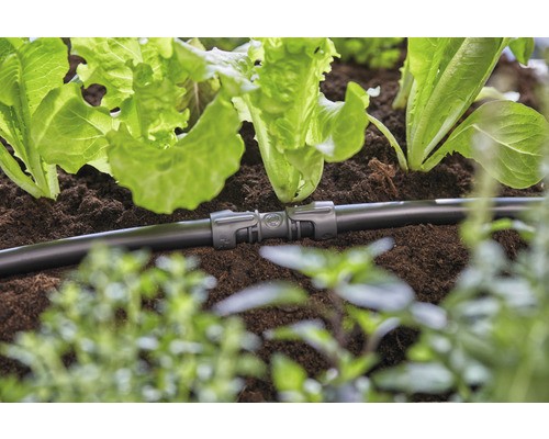 Zavlažovací systém se spojovacím prvkem v zahradním záhonu