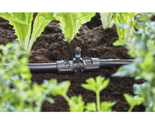 Zavlažovací systém s kapátkem v zahradním záhonu mezi rostlinami