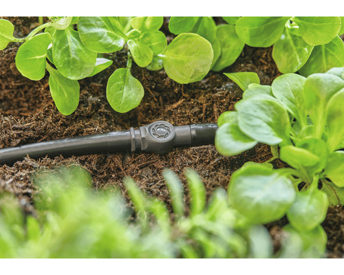 Kapková hadice s regulačním ventilem mezi rostlinami na zahradě