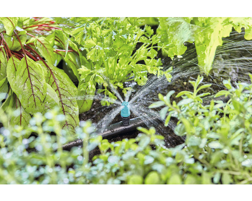 Zavlažovací systém v zeleninovém záhonu se salátem, petrželkou a bylinkami