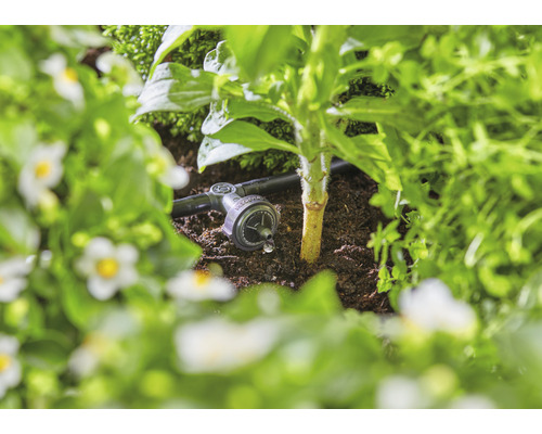 Kapková závlaha na zahradním záhonu pro zavlažování rostlin.