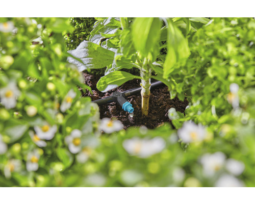 Kapkový zavlažovací systém v zahradním záhonu s rostlinami