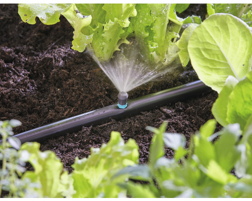 Zavlažovací systém se používá k zavlažování rostlin na zahradním záhonu