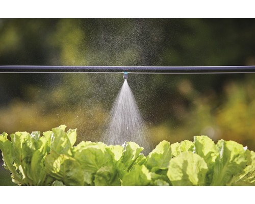 Zavlažovací systém s kapkovou hadicí a salátovými rostlinami