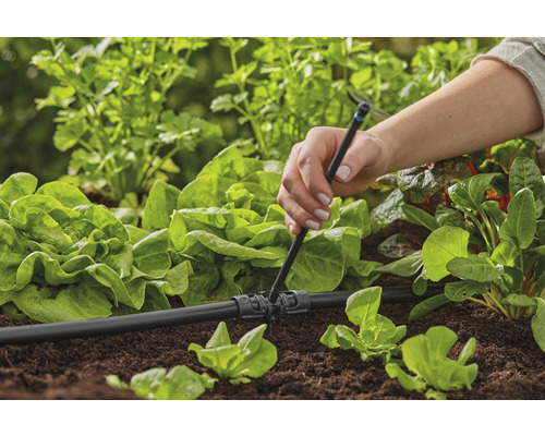 Instalace zavlažovacího systému v zahradě pro zásobování salátu vodou