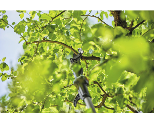 Nůžky na větve při práci na stromě