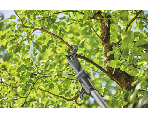 Nůžky na větve s násadou stříhají větev na stromě.