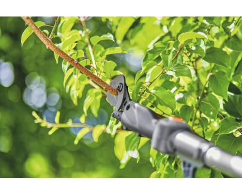 Nůžky na větve stříhají větev s listy.