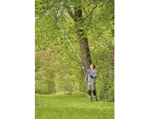 Muž stříhá větve na stromě pomocí tyčové pily.