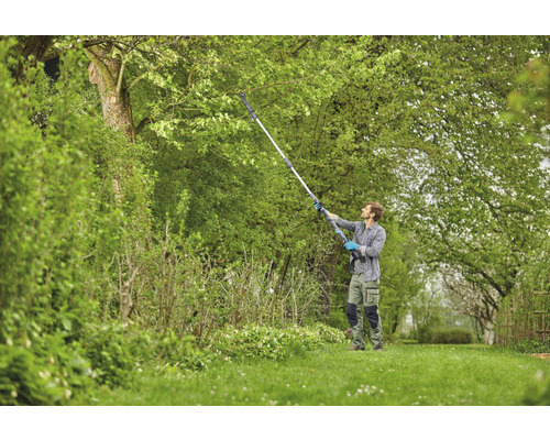 Muž stříhá strom pomocí tyčové pily na zahradě