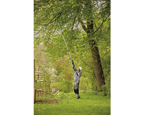 Muž stříhá strom pomocí tyčové pily na zahradě.