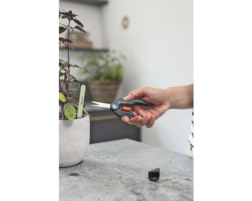 Zahradní nůžky na stříhání bazalky v květináči