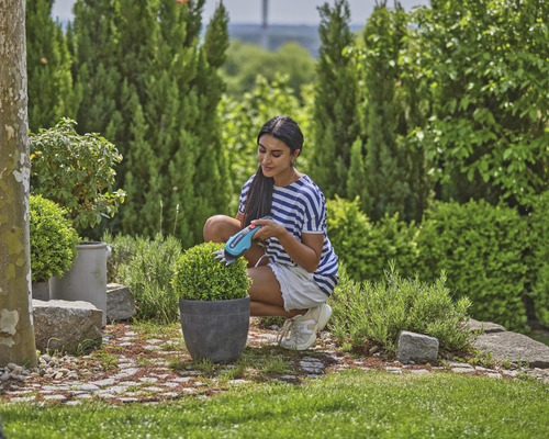 Žena zastřihává buxusovou kouli akumulátorovými nůžkami na keře na zahradě