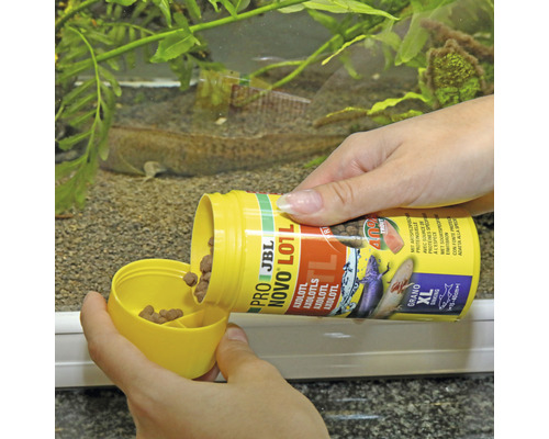 Krmení axolotlů v akváriu krmivem JBL NovoLotl