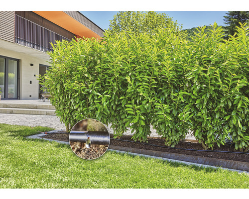 Kapkový zavlažovací systém v zahradě pro zavlažování rostlin