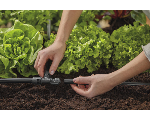 Instalace zavlažovacího systému pro zahradu se salátem