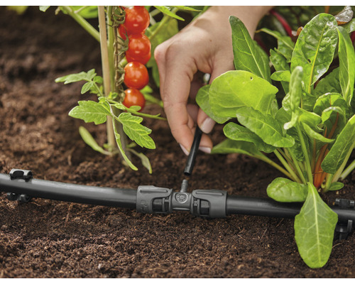 Kapkový zavlažovací systém se používá k zavlažování rostlin v zahradě.