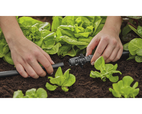 Zavlažování zahrady s kapkovou hadicí a regulačním kusem v zeleninové zahradě