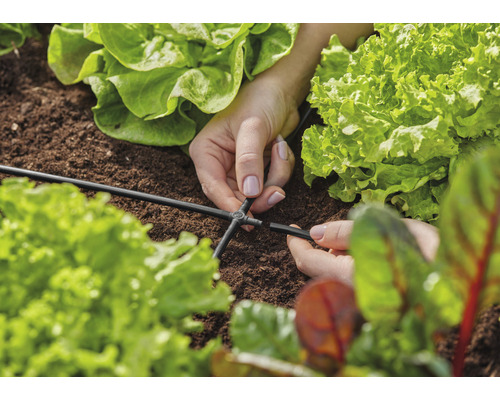 Detailní záběr rukou upevňujících konektor k zavlažovací hadici v zeleninové zahradě.