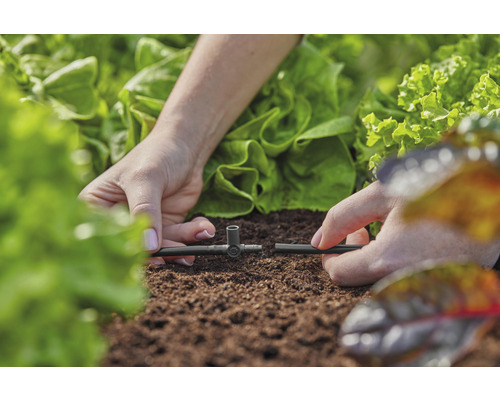 Instalace zavlažovacího systému na zahradě se salátovými rostlinami