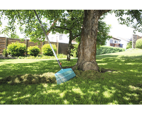 Zahrada s trávníkem, stromem a hráběmi pro zahradničení