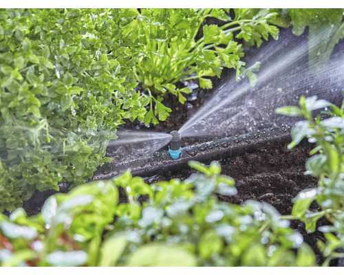 Zavlažovací systém v provozu mezi rostlinami v zahradě