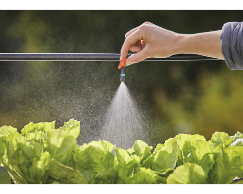 Zavlažování zahrady pomocí kapací hadice a rozprašovací trysky nad hlavami salátu