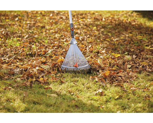 Hrábě na trávníku s listím