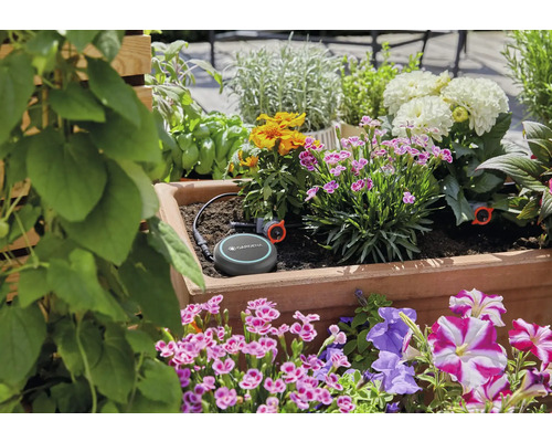Zavlažovací systém Gardena Smart v květináči s různými rostlinami