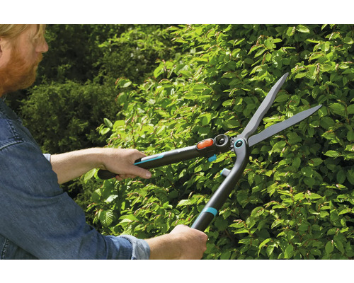 Osoba stříhá živý plot nůžkami na živý plot.