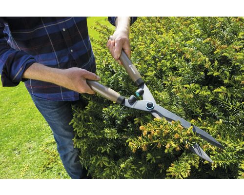 Osoba stříhá živý plot nůžkami na živý plot.