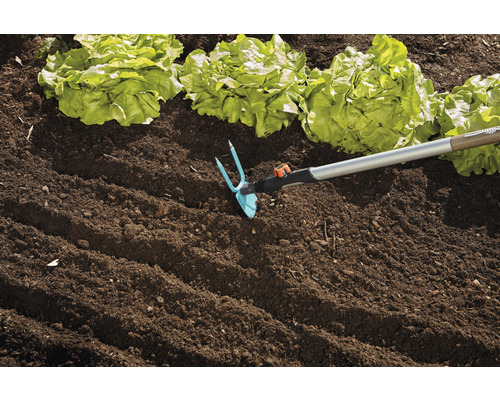 Zahradní motyka v použití vedle rostlin salátu