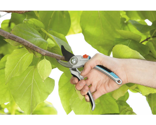 Zahradní nůžky stříhají větev na pozadí zelených listů.